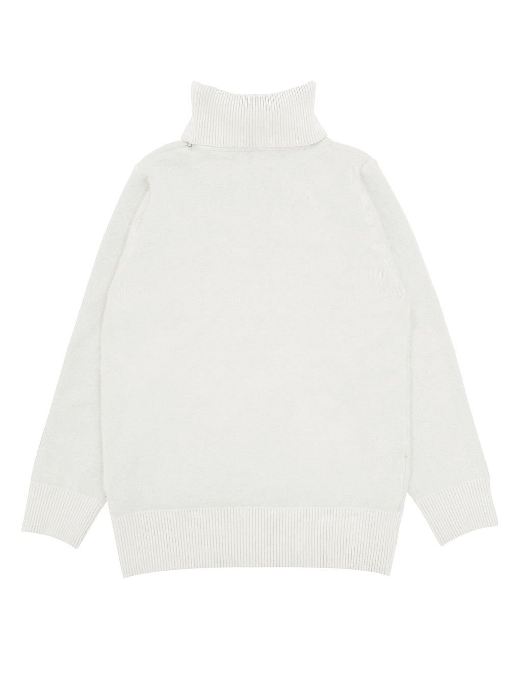 Solid Cozy Turtle Neck Long Sleeve Pullover Sweater